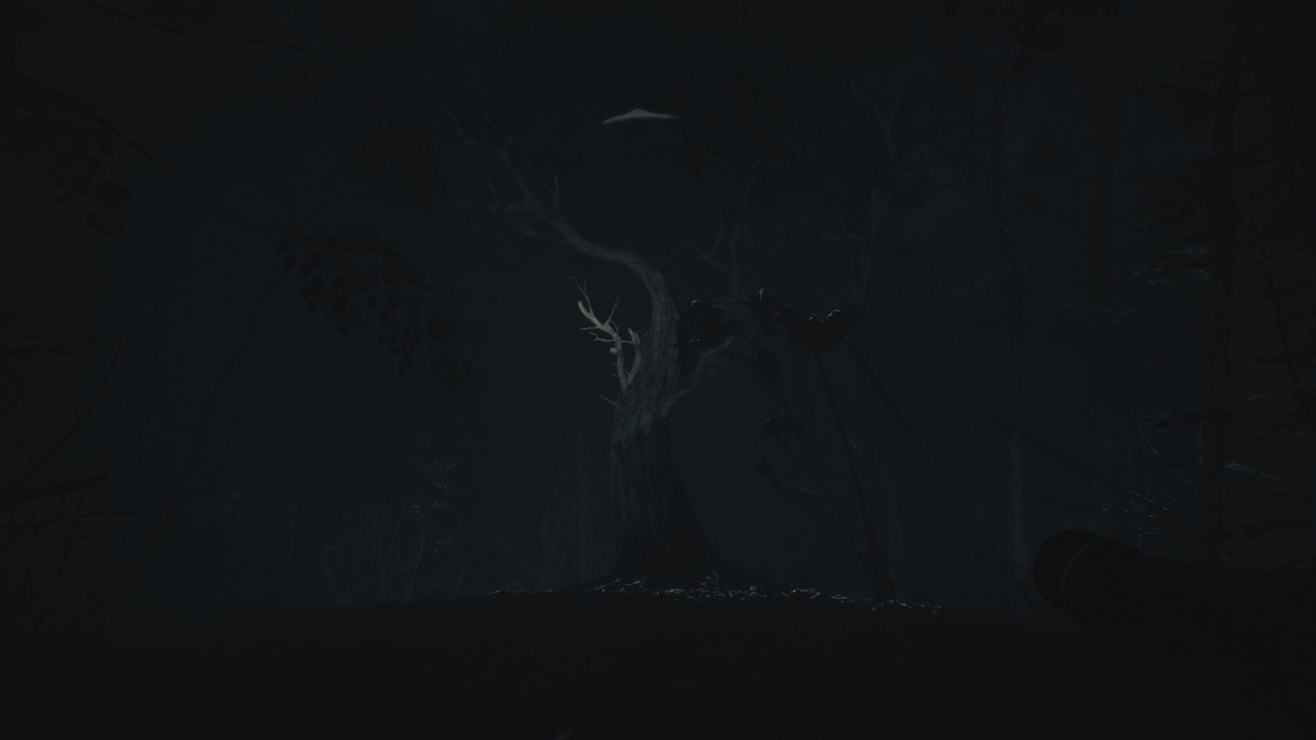 Blair Witch - Imagen 14